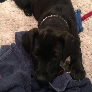 Meet your Posher, Chloe